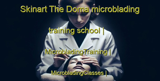 Skinart The Doma microblading training school | MicrobladingTraining | MicrobladingClasses | SkinartTraining-Zimbabwe